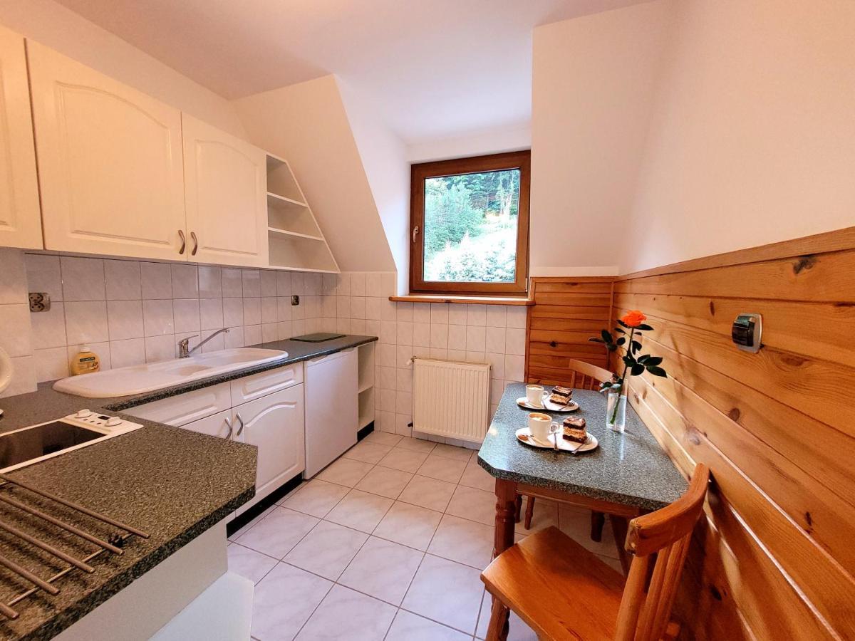 Rezydencja Leśny Dwór Piwniczna-Zdroj Exterior foto