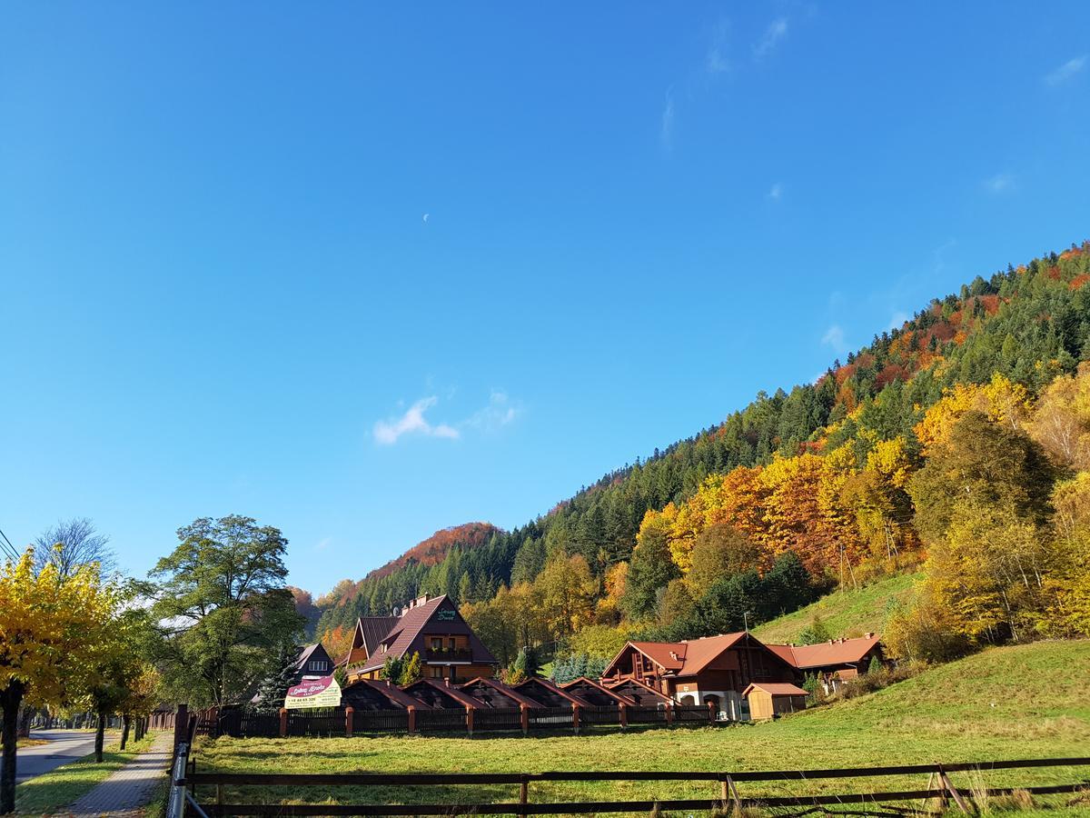 Rezydencja Leśny Dwór Piwniczna-Zdroj Exterior foto